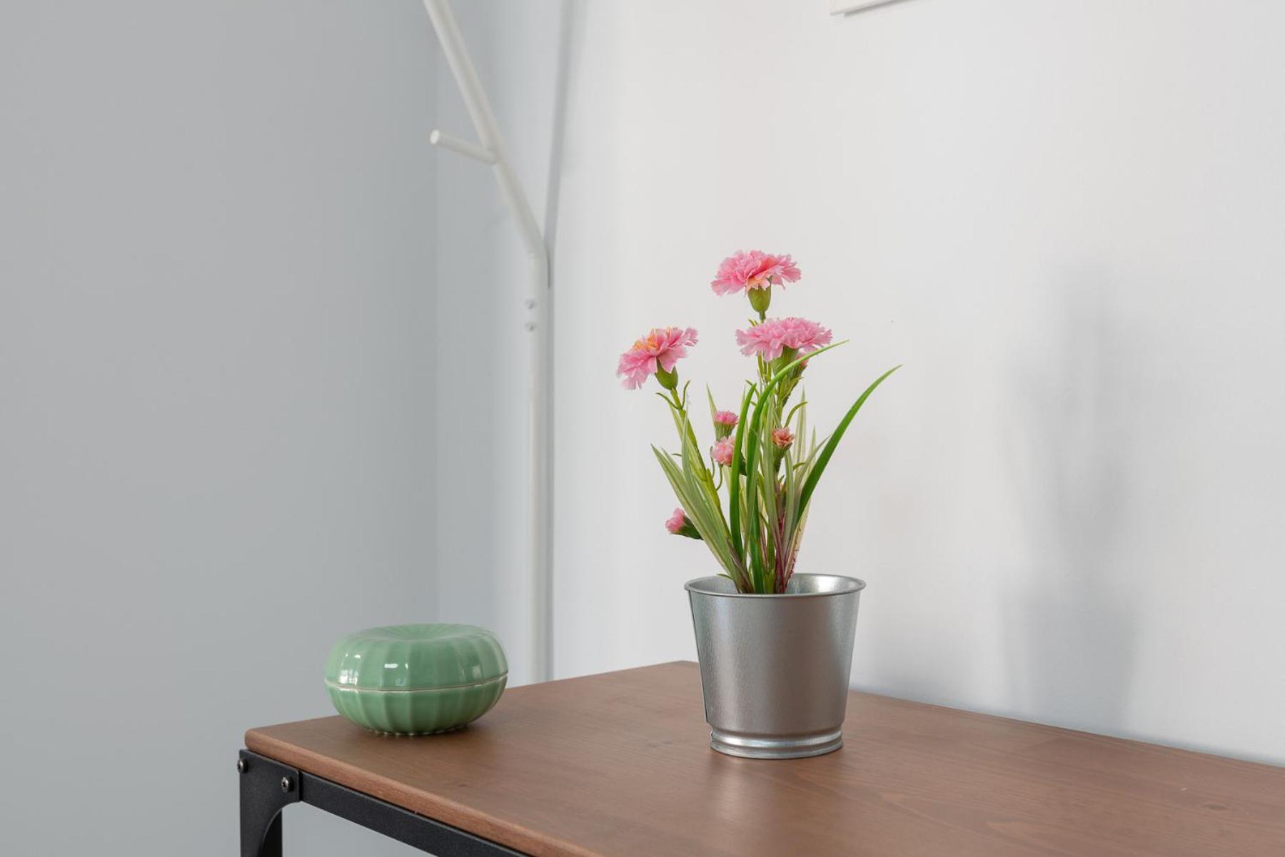 Appartement Acogedor Apartamento En El Centro De Marbellac
